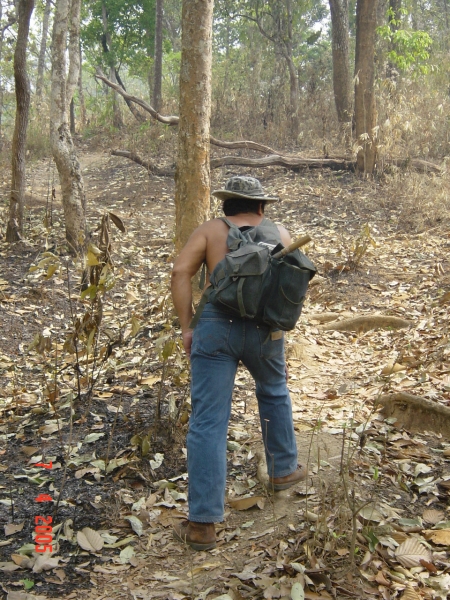 Day 2 - My First Chiang Mai Jungle Trekking : Thailand (Apr'05) 12