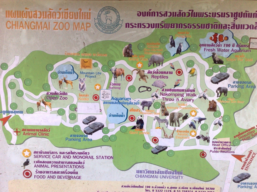 Day 2 - Visited Chiang Mai Zoo On My Birthday : Thailand (Nov'11) 12