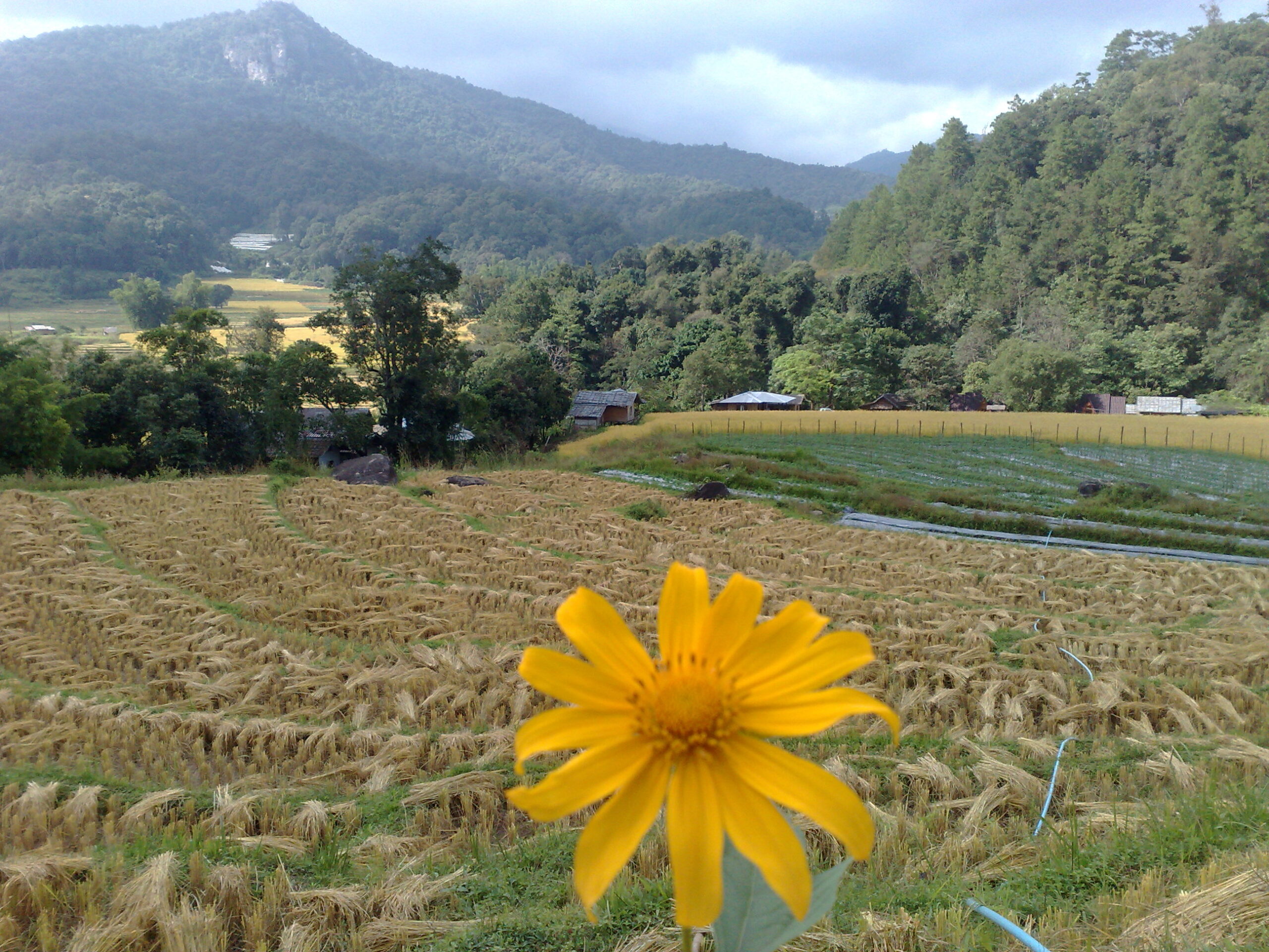 Day 4 - Visited Kirimaya Paradise Ecotourism : Chiang Mai, Thailand (Nov'11) 20
