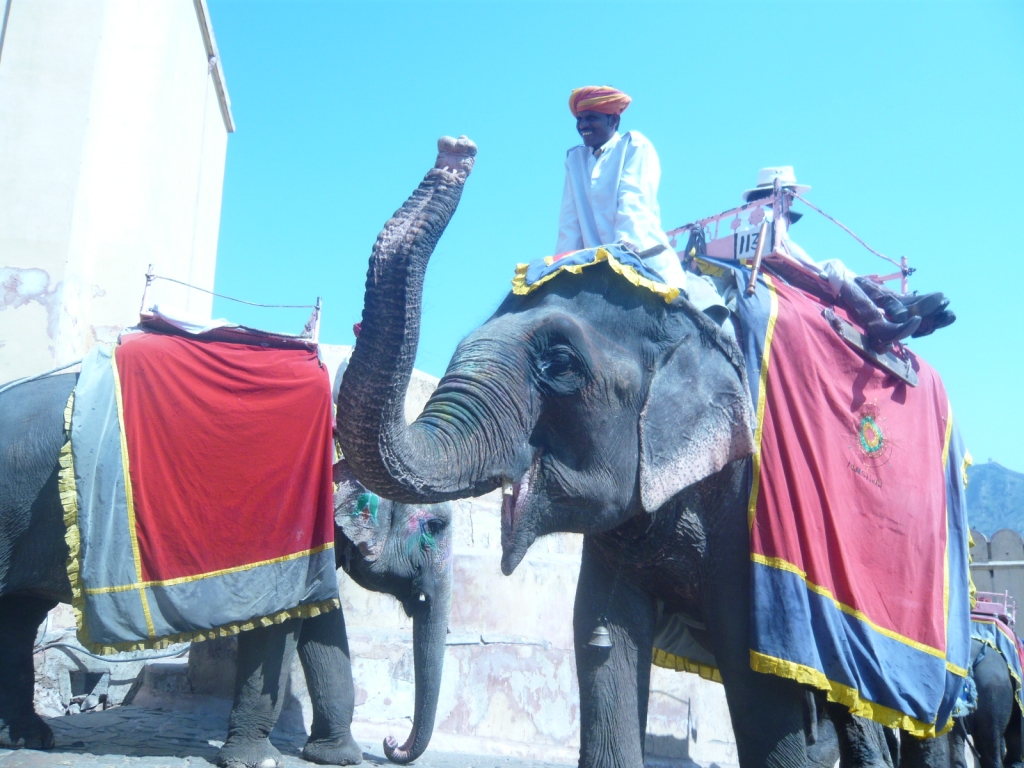 Day 3 - I Visited Many Times in Amber Fort : Jaipur, India (Mar'11) 22