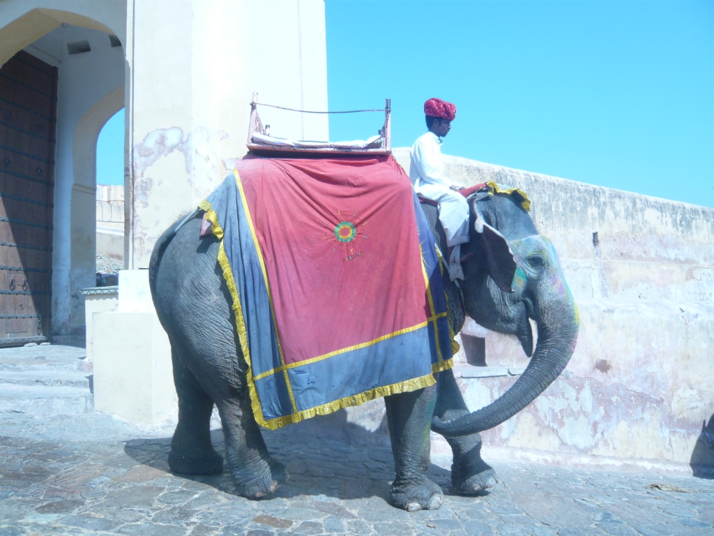Day 3 - I Visited Many Times in Amber Fort : Jaipur, India (Mar'11) 7