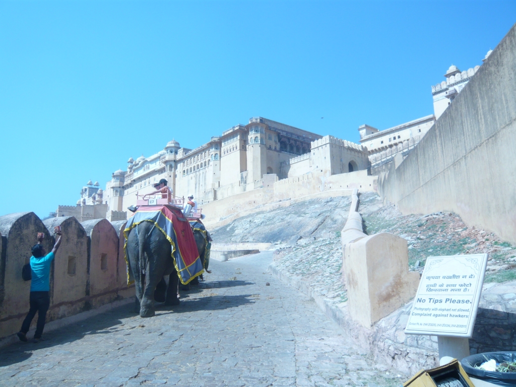Day 3 - I Visited Many Times in Amber Fort : Jaipur, India (Mar'11) 9