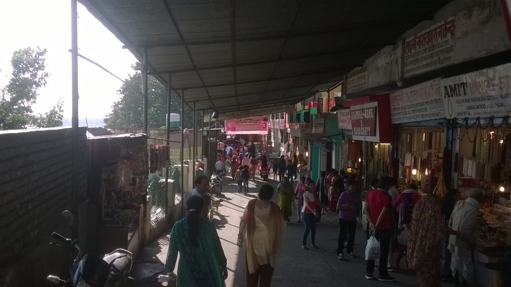 Half Day Trip To Rishikesh : India (Nov'15) 17