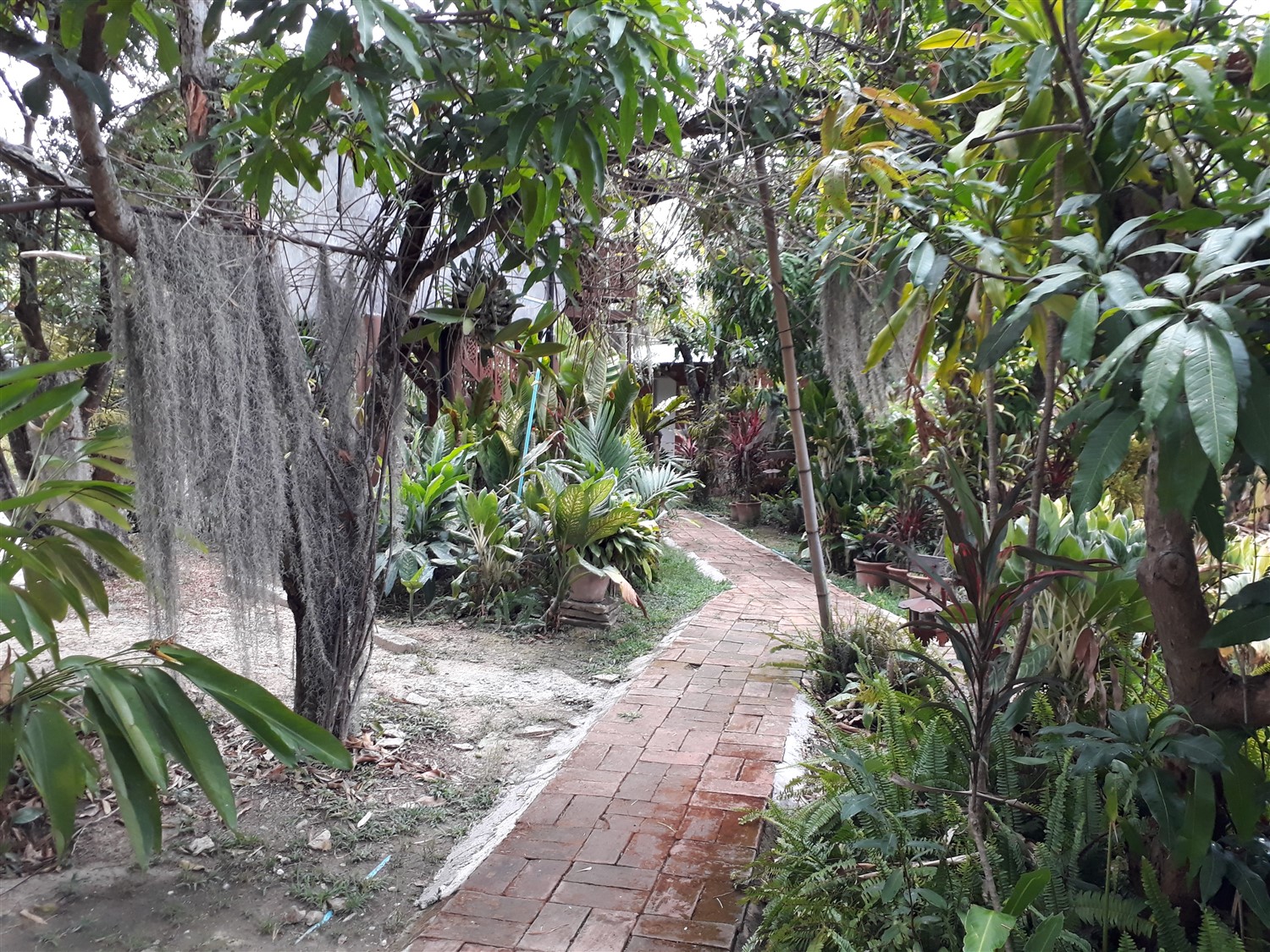 Day 1 - Exploring Village Life Around Ban Chunsongsang Home Stay, Chiang Mai : Thailand (Apr'17) 7