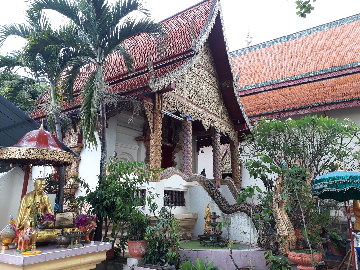 Day 1 - Exploring Village Life Around Ban Chunsongsang Home Stay, Chiang Mai : Thailand (Apr'17) 13