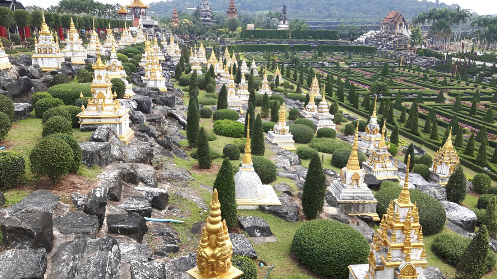 One Day Tour To Nongnuch Pattaya Garden : Thailand (Feb'18) 11
