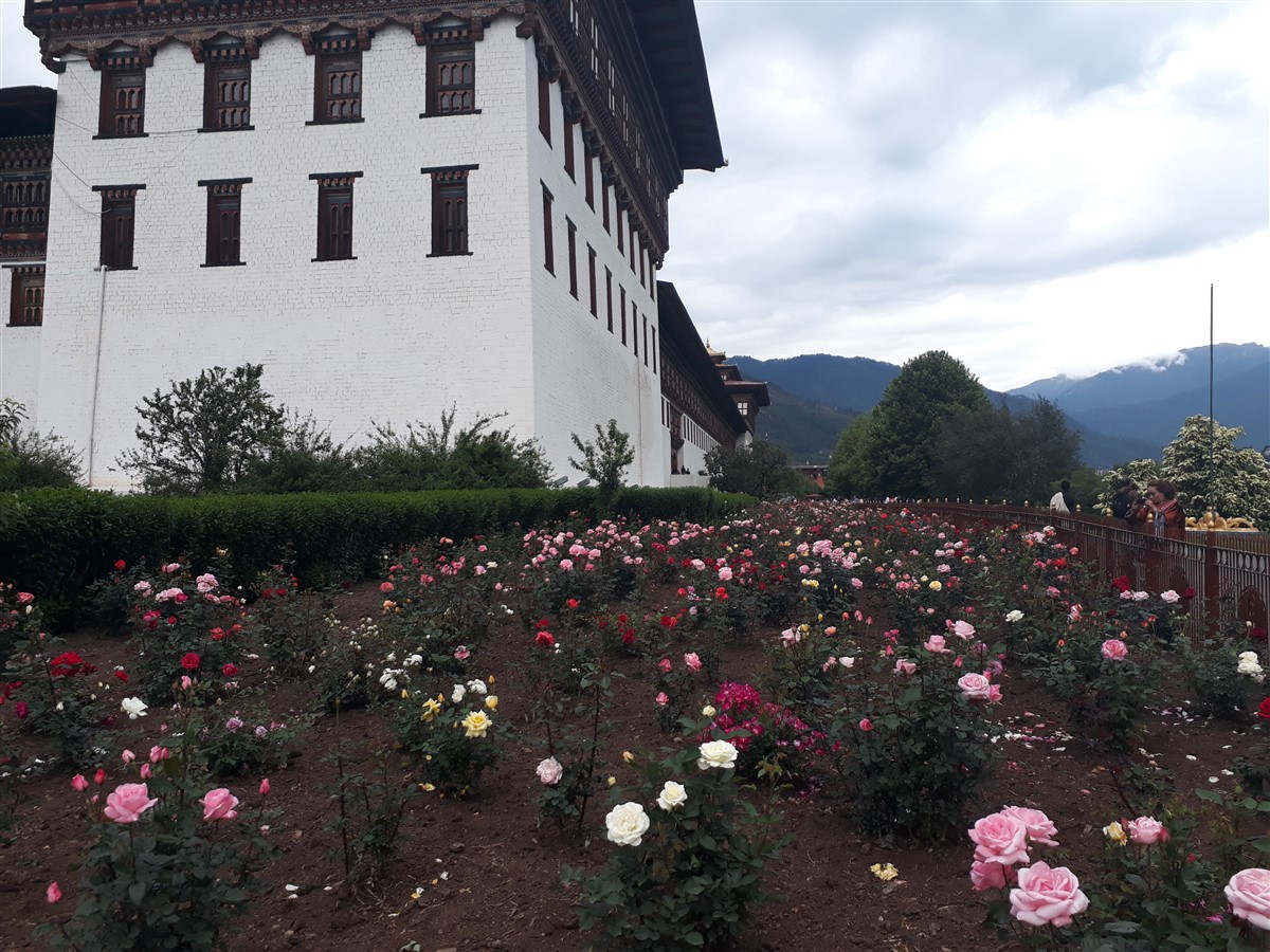 Day 1 - Our First Day in Thimphu : Bhutan (Jun’18) 60