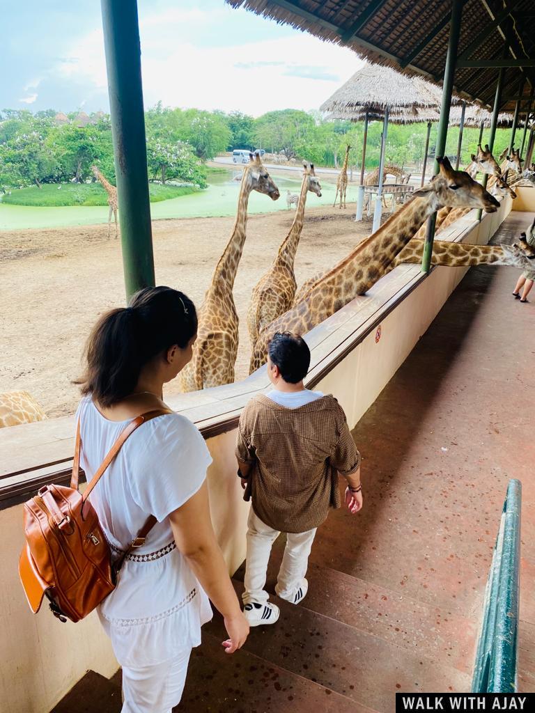 Day 3 - Our Full Day Trip To Safari World : Bangkok, Thailand (Jul’22) 18
