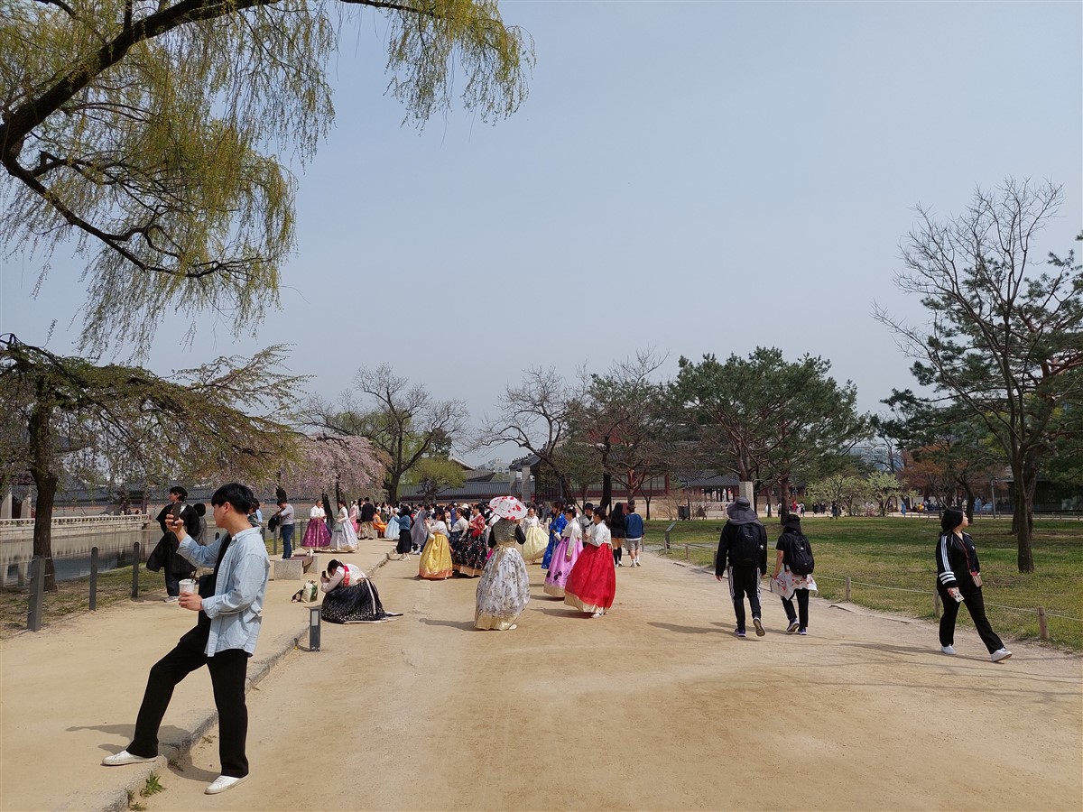 Day 2 - Visited Geongbokgung Palace & Insadong Area : Seoul, South Korea (Apr'24) 19