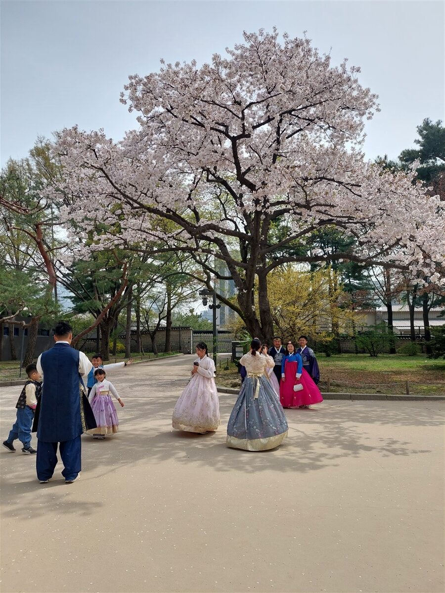 Day 2 - Visited Geongbokgung Palace & Insadong Area : Seoul, South Korea (Apr'24) 21