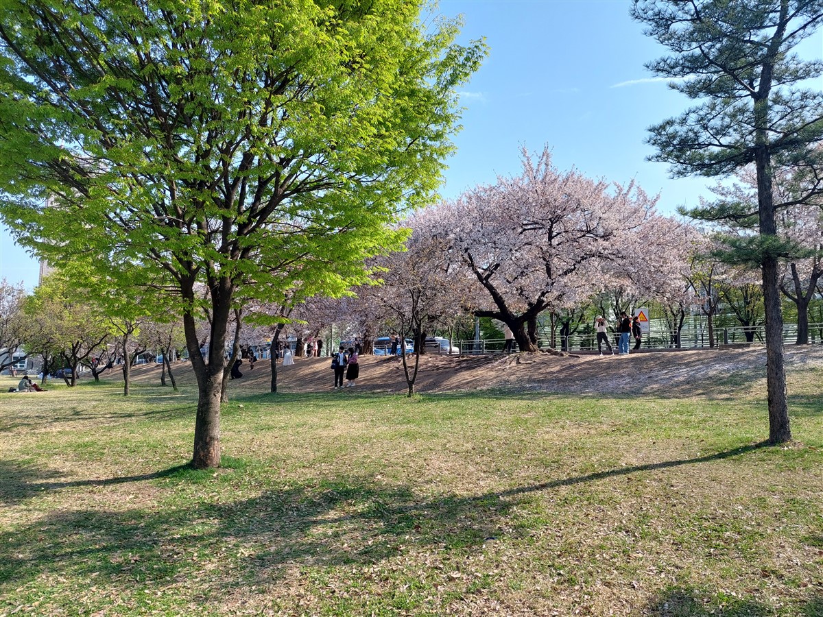 Day 3 - Bukchon Hanok Village, Yeouido Park & Hongdae Area : Seoul, South Korea (Apr'24) 25