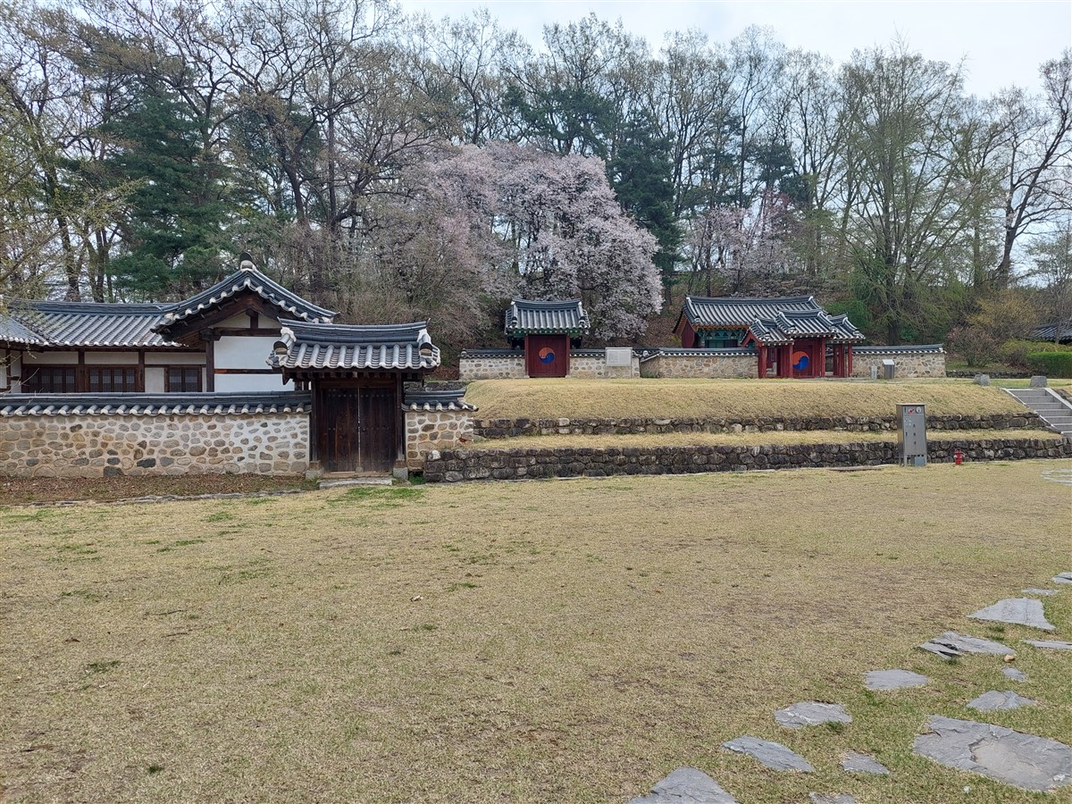 Day 4 - Visited DMZ (Demilitarized Zone) : Paju-si, South Korea (Apr'24) 15