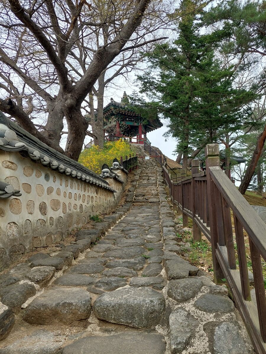 Day 4 - Visited DMZ (Demilitarized Zone) : Paju-si, South Korea (Apr'24) 26