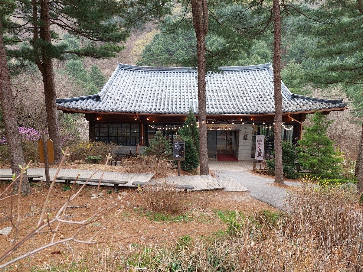 Day 5 - Morning Visit To "The Garden of Morning Calm" : Gapyeong-gun, South Korea (Apr'24) 4