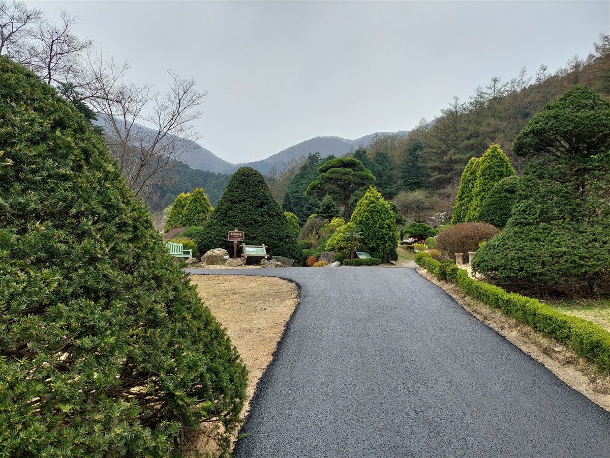 Day 5 - Morning Visit To "The Garden of Morning Calm" : Gapyeong-gun, South Korea (Apr'24) 6