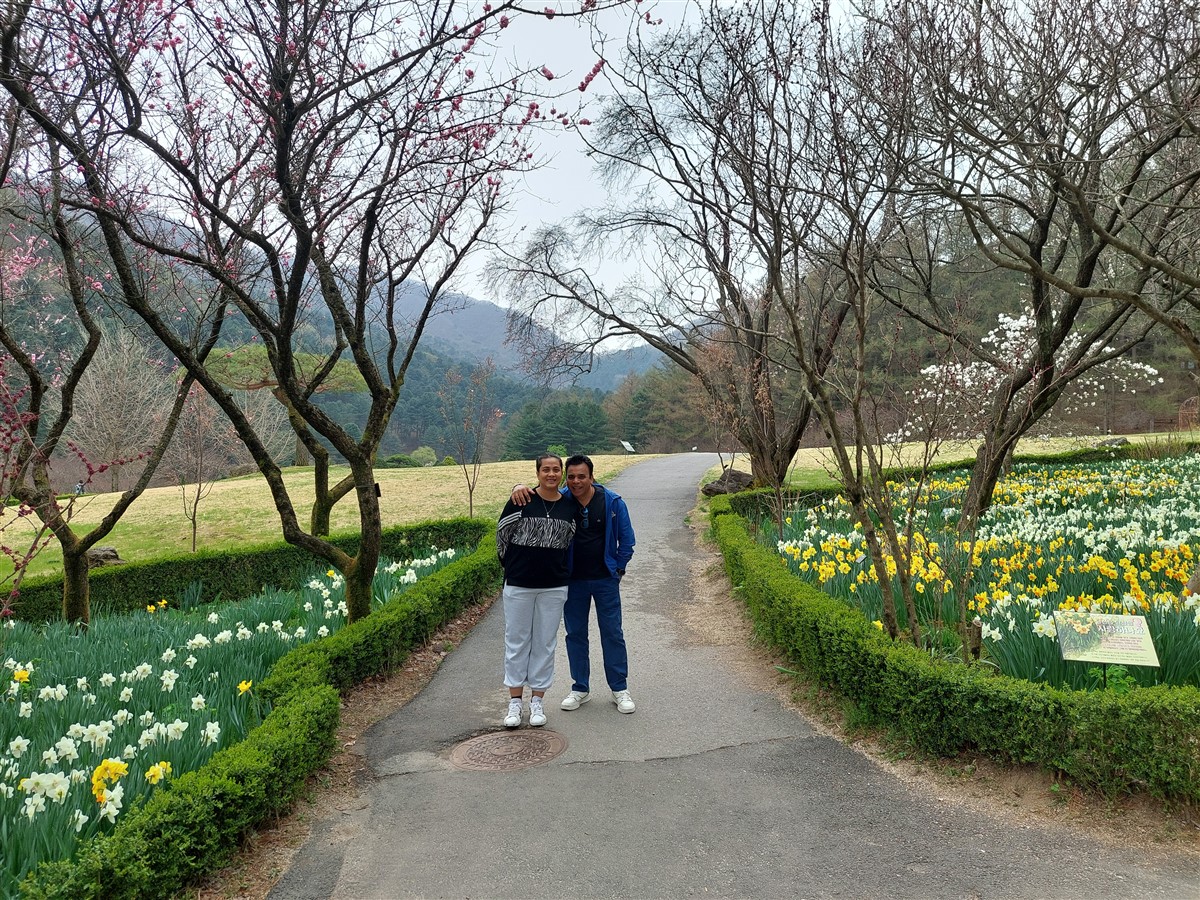 Day 5 - Morning Visit To "The Garden of Morning Calm" : Gapyeong-gun, South Korea (Apr'24) 8