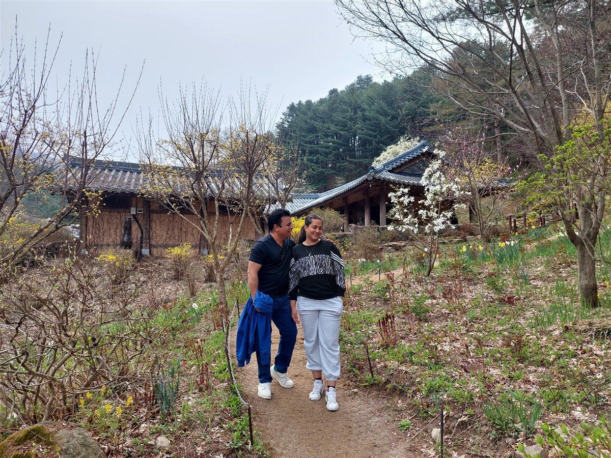 Day 5 - Morning Visit To "The Garden of Morning Calm" : Gapyeong-gun, South Korea (Apr'24) 13