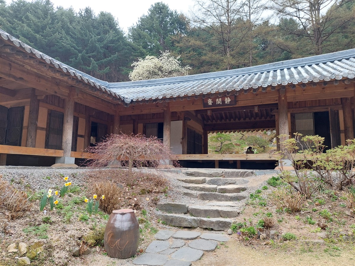 Day 5 - Morning Visit To "The Garden of Morning Calm" : Gapyeong-gun, South Korea (Apr'24) 14