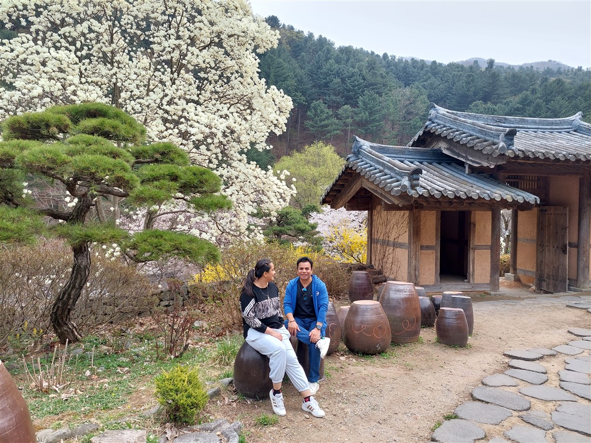 Day 5 - Morning Visit To "The Garden of Morning Calm" : Gapyeong-gun, South Korea (Apr'24) 15