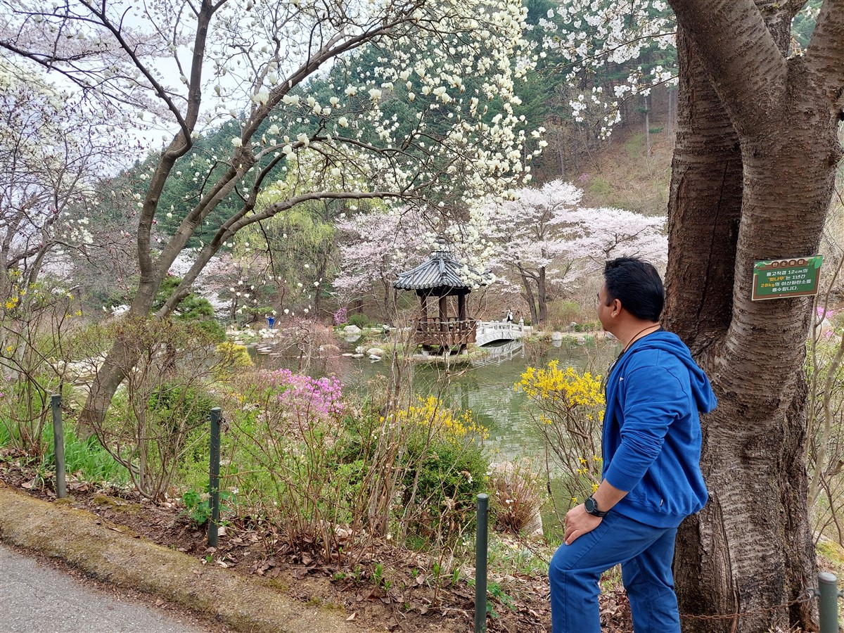 Day 5 - Morning Visit To "The Garden of Morning Calm" : Gapyeong-gun, South Korea (Apr'24) 18