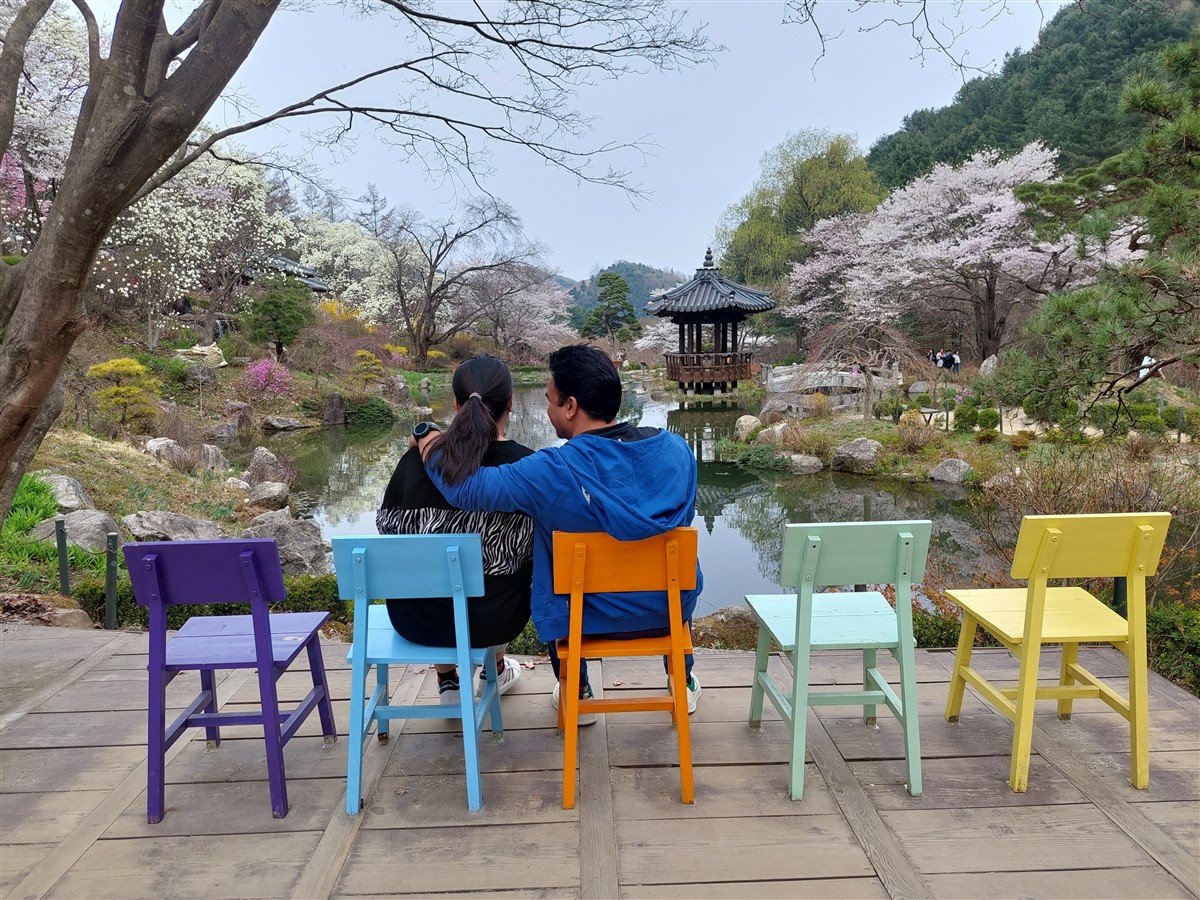 Day 5 - Morning Visit To "The Garden of Morning Calm" : Gapyeong-gun, South Korea (Apr'24) 20