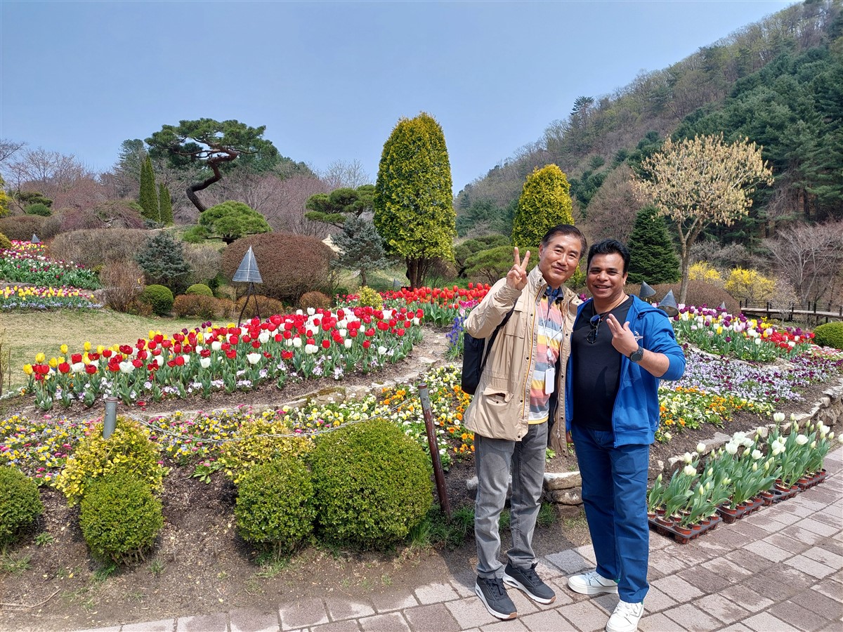 Day 5 - Morning Visit To "The Garden of Morning Calm" : Gapyeong-gun, South Korea (Apr'24) 24