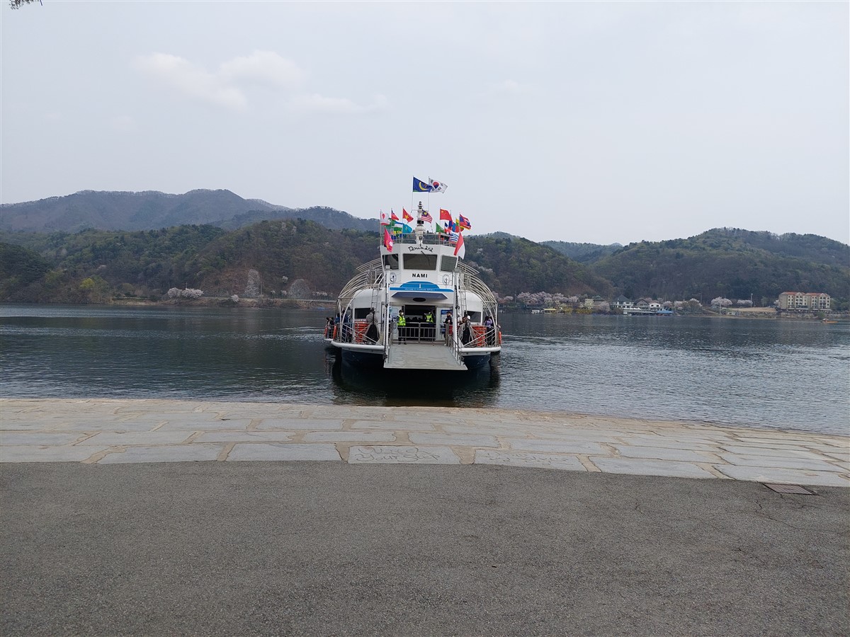 Day 5 - Afternoon Visit To Nami Island : Chuncheon, South Korea (Apr'24) 2