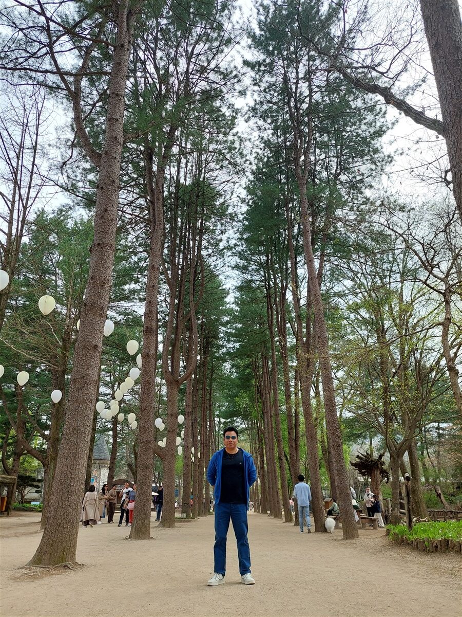 Day 5 - Afternoon Visit To Nami Island : Chuncheon, South Korea (Apr'24) 6