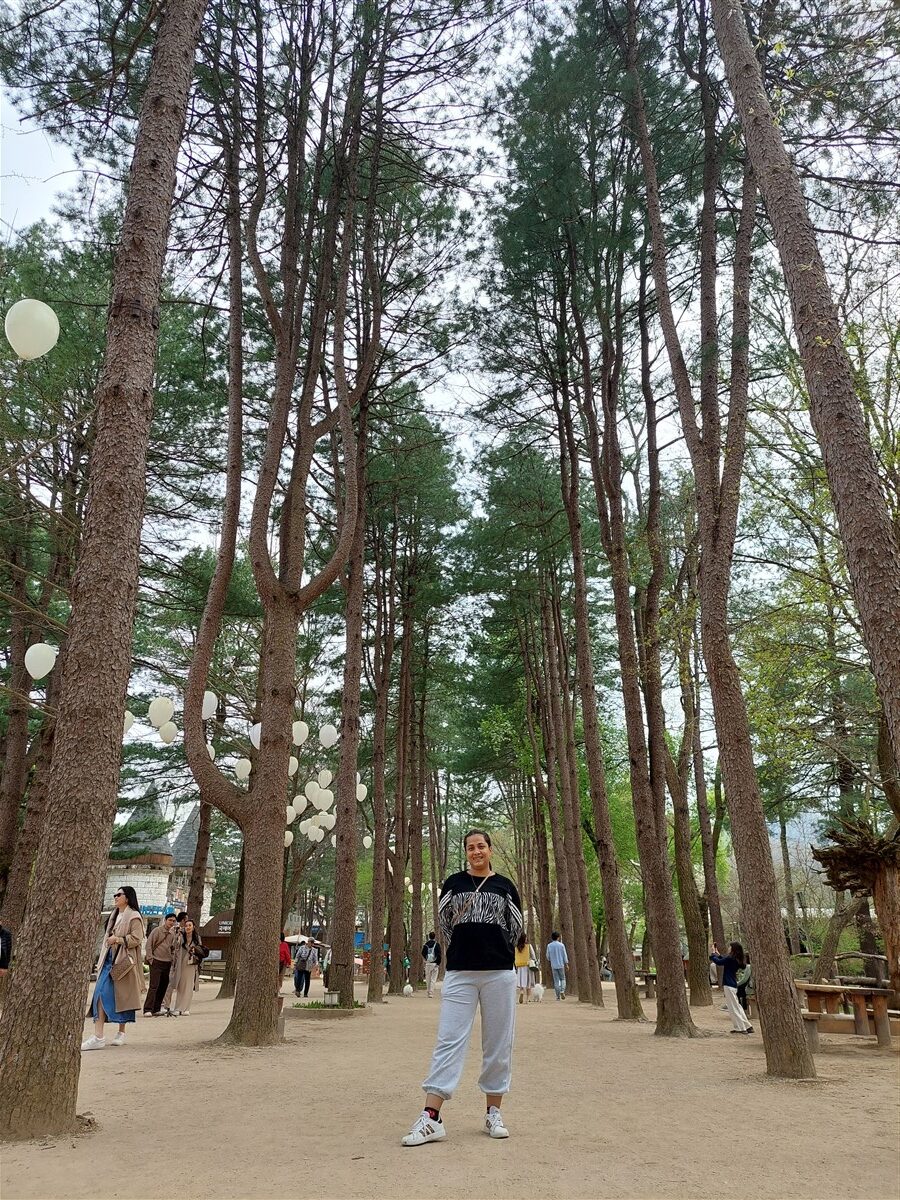 Day 5 - Afternoon Visit To Nami Island : Chuncheon, South Korea (Apr'24) 7