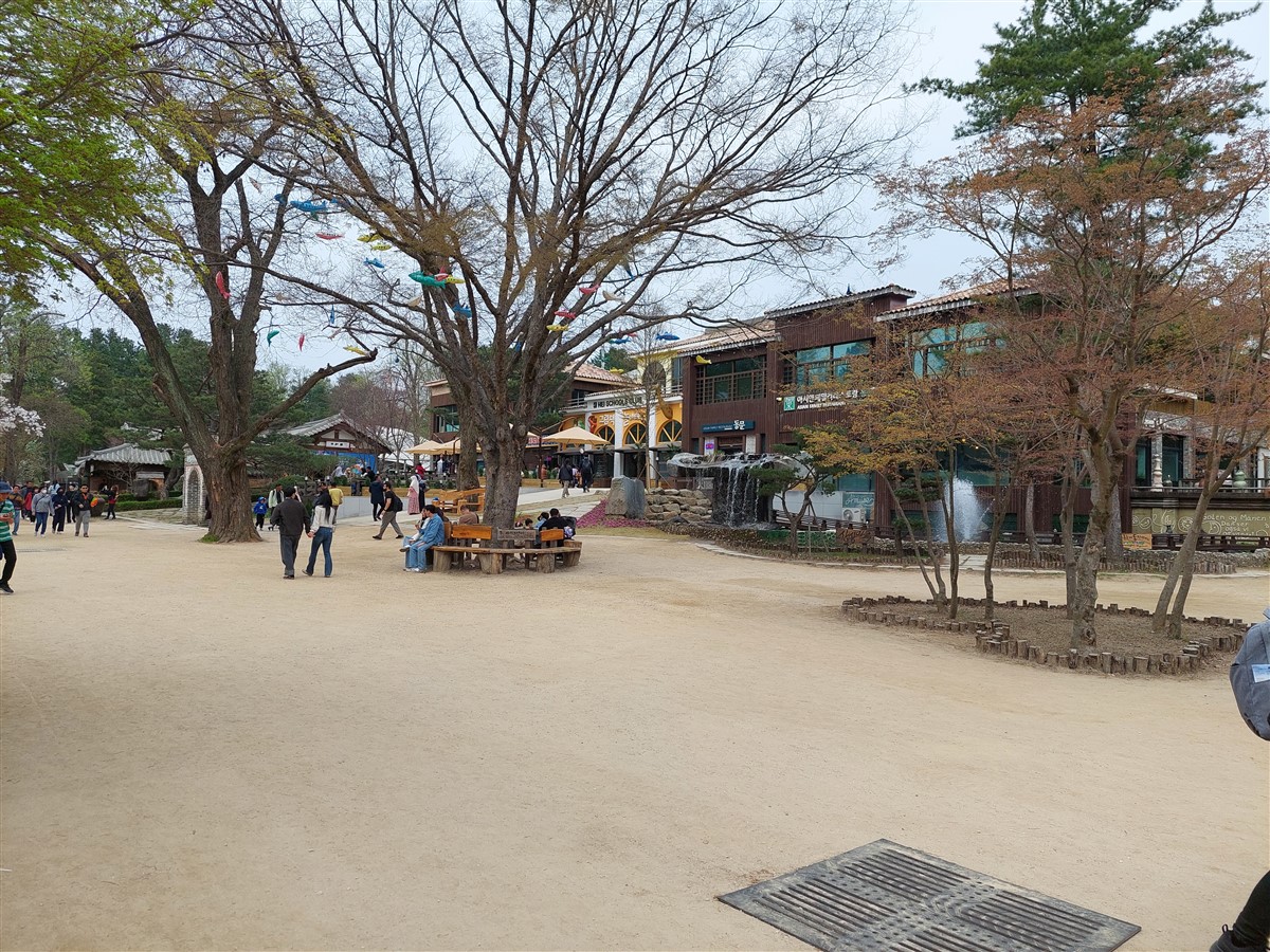 Day 5 - Afternoon Visit To Nami Island : Chuncheon, South Korea (Apr'24) 8