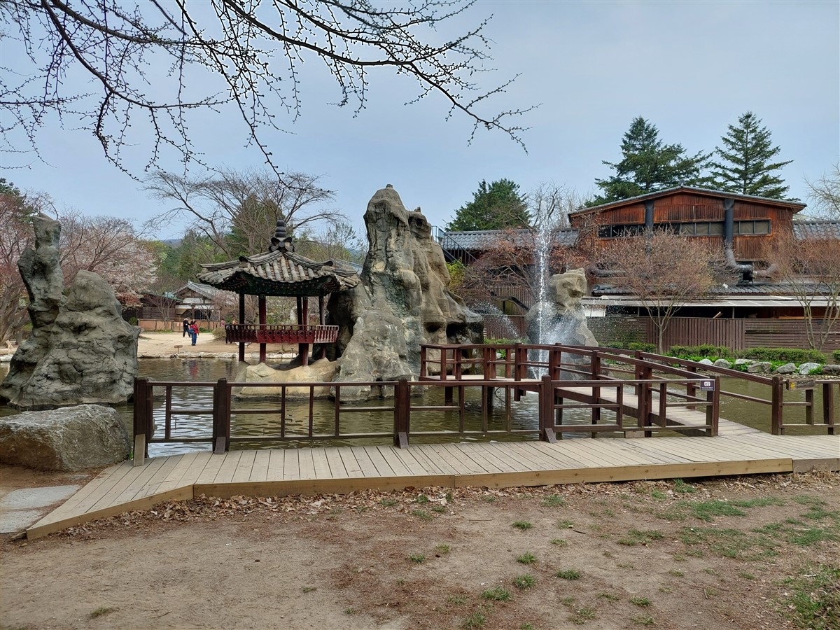 Day 5 - Afternoon Visit To Nami Island : Chuncheon, South Korea (Apr'24) 9