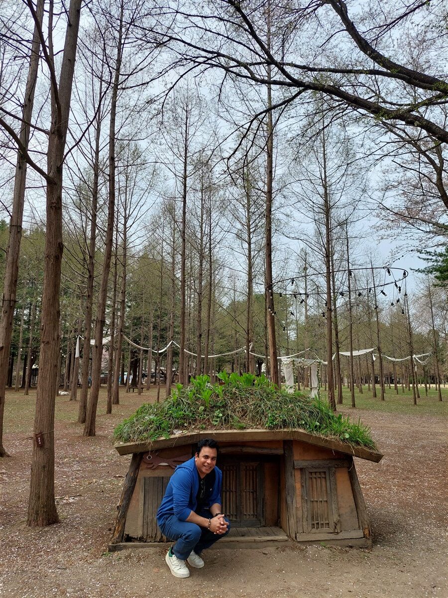 Day 5 - Afternoon Visit To Nami Island : Chuncheon, South Korea (Apr'24) 11