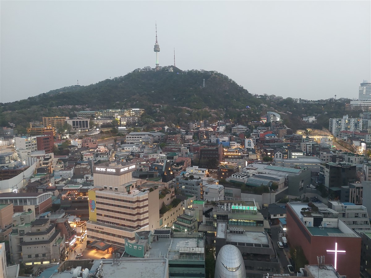 Day 5 - Afternoon Visit To Nami Island : Chuncheon, South Korea (Apr'24) 17